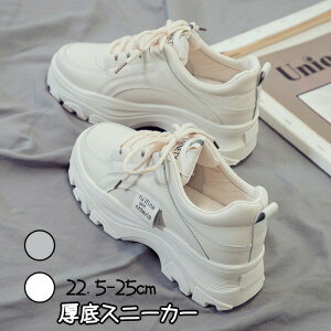 Xj[J[ fB[X V[Y Xj[J[ ؍ EH[LOV[Y Cq[   킢 lC C  Xj[J[ zCgr gAbv  r