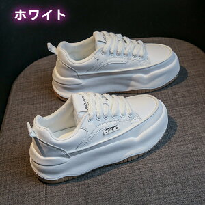 Xj[J[ fB[X C X|[cV[Y V[Y ~ h r r ₷ Ȃ ɂȂ ʋC Vv ʋ ʊw yArGgz