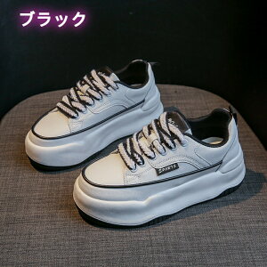 Xj[J[ fB[X C X|[cV[Y V[Y ~ h r r ₷ Ȃ ɂȂ ʋC Vv ʋ ʊw yArGgz