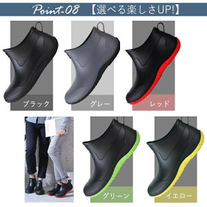 ~J΍ JC Cu[c fB[X CV[Y Y C CV[Y V[gu[c AEghA h C V[g ʋ ʊw 䕗 y JWA yA ₷