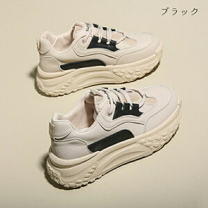 Xj[J[ fB[X V[Y Y O ꂷۂ _bhXj[J[ jOV[Y [Jbg y ^C  Xb| ₷ 5cmq[ ʋC ϖ 