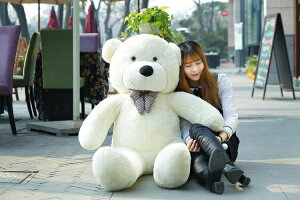 u80cm~200cmvʂ 傫 N}̂ʂ  ʂ efBxA teddy bear ܂̂ʂ ӂӂ a NX}Xv[g efBxA F v[g Cxg
