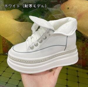 Xj[J[EFbWq[Xj[J[fB[XV[YrnCq[@nCJbg@_bh@u[c@Xj[J[u[cEH[LOV[YtďH~CJWAV[Yp