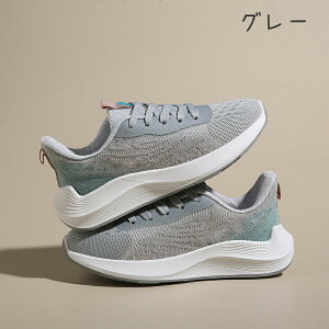 Xj[J[fB[XjOV[YEH[LOV[Y₷WjAAEghAyʌ̈كV[Y^CʊwʋΒʋCCWwg[jOyArG