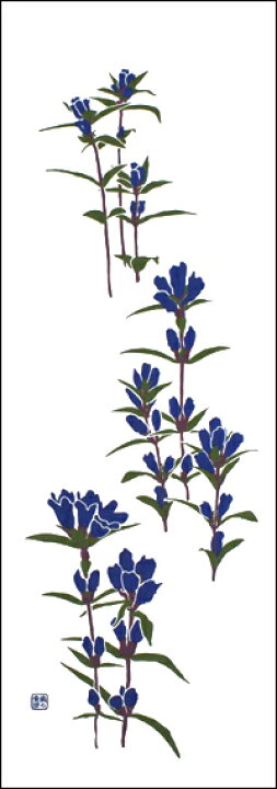 楽天市場 手ぬぐい 野のリンドウ 青 りんどう 竜胆 Gentian 秋の花 敬老の日 プレゼント ギフト 贈り物 てぬぐい 手ぬぐい 染の安坊