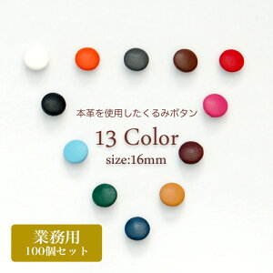 {v݃{^ 16mm 100 S13F