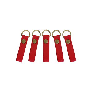 {vt@Xi[̈iʃubNj 5Zbg Vv^Cv v