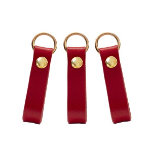 y󂠂zȖ؃U[gp t@Xi[̈ 3Zbg Vv^Cv v