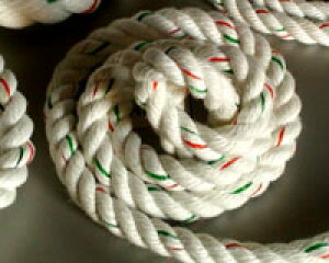 AMA Xp WD W p AJ[ [v 20mm×50m { XpGXe [v 3 Piz 39