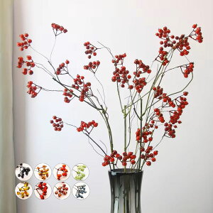  } } TLC TgCo Ԃ N t t[AWg H ~ NX}X xmas    V x[ u[x[ A ie ȂĂ f