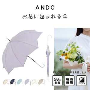 P  Ԃт ԕ Ԃ̌` fB[X  PoCJ[pCsO lCr[ O[ p[v zCg O[W x[W P JP P UVJbg  q 킢 t[A