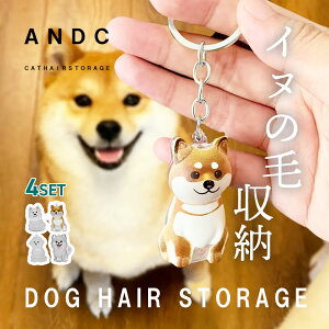 y4ރZbgzCk  [ ybg A ۑP[X L[z_[ {g  P[X  qQ    ` vo ۊ P[X AObY  ы obO`