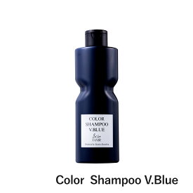 【公式】&be カラーシャンプー&トリートメント【カラーケア C.Pink／カラーケア V.Blue】｜シャンプー トリートメント ヘアケア カラーシャンプー ハイトーン 暖色カラー くすみ ピンク ブルー 発色 髪の毛