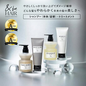 【公式】&be(アンドビー) 【ベーシックシャンプー&トリートメント】 and be 河北メイク 河北裕介 メイクアップアーティスト