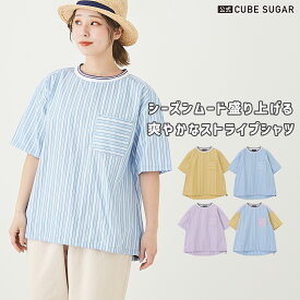 【楽天スーパーSALE限定 50%OFF】ストライプシャツ / 公式 CUBE SUGAR ストライプ 衿リブ 半袖 プルオーバー シャツ (4色): アメカジ レディース トップス シャツ ブラウス ノーカラー クルーネック カジュアル キューブシュガー