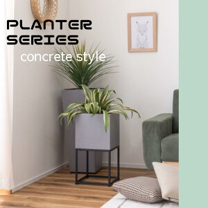 J SWA-455 X^CbV v^[ 6Ή ϗtA   X^ht Jo[ _ C_XgA k O[ CeA uȒP