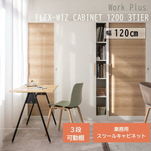 work plus AXvh FLEX-WIZ CABINET 1200 3TIER VFt Xc[Lrlbg I 120cmy@llz