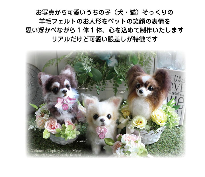 ベティミー様 争い ありがとうございましたm(_ _)m