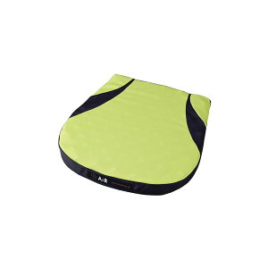nishikawa �y ���� �z [�G�A�[] �G�A�[ �|�[�^�u�� �N�b�V���� 40X40cm (S�T�C�Y) ���ʍ\�� �̈����U