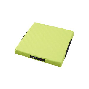 nishikawa �y ���� �z [�G�A�[] �G�A�[ �|�[�^�u�� �N�b�V���� 40X40cm (�X�N�G�A�^�C�v) ���ʍ\�� �̈����U