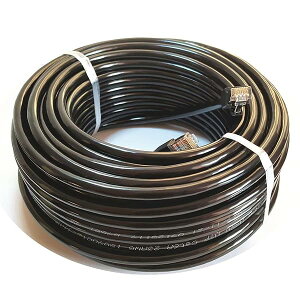 �y���������z10M CAT6A ���O LAN�P�[�u�� ���O�d�l 2�d�핢 PoE�Ή� �J�e�S���[6A ���O�p �R�l�N�^