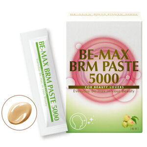 �y�������ʒ���zBE-MAX BRM PASTE 5000�i�r�[�}�b�N�X �x���� �y�[�X�g �S�Z���j�q �~�� �r�y���K�_��X�z
