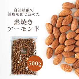 送料無料 素焼き アーモンド 500g 自社焙煎 ナッツ 無塩 無油 チャック袋 大袋 お買い得用 まとめ買い ネコポス発送 ポスト投函 おやつ おつまみ
