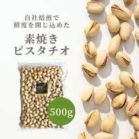 送料無料 素焼き ピスタチオ 500g 大容量 自社焙煎 殻付き ナッツ 無塩 チャック袋 大袋 お買い得用 まとめ買い ネコポス発送 ポスト投函 おやつ おつまみ