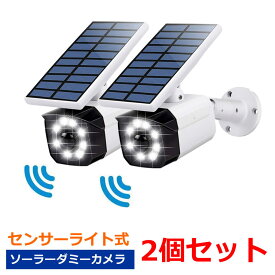 ソーラー ダミー 防犯カメラ 2個セット センサーライト 送料無料 ダミーカメラ　屋外 人感 LED　防犯　カメラ型 防水　ガーデン ライト 夜間点灯 配線不要 壁掛け庭先 av-sldc02
