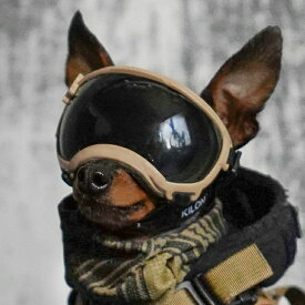 正規品 KILONINER Signature Goggles（シグネチャーゴーグル）キロナイナー ゴーグル サングラス 小型犬用 超小型犬用犬用ゴーグル ペット用ゴーグルミリタリー ペット 犬 猫 おしゃれ かわいい 日本オリジナル 紫外線防止 UVカット