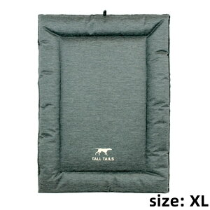 DADWAYPET _bhEFCybg TALL TAIL g[ eCY N[g xbh XL TCY I[V[Y}bg @ @ ې ybgxbh hbOxbh