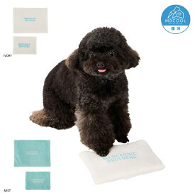 MANDARINE BROTHERS マンダリンブラザーズ COOL PILLOW クールピロー CUSTARD M Lサイズ IVORY MIST 2色 ひんやり 冷却 保冷 アイスバッグ アイスパック