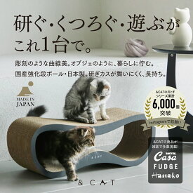 【SNSで話題の爪とぎ!!】猫 爪とぎ ベッド 遊び場 3in1 大きいサイズ 大型猫対応 おしゃれ 猫用 つめとぎ 段ボール 強化ダンボール 国産 日本製 長持ち トンネル くつろぎスペース 爪とぎベッド 曲線 モダン インテリア &CAT TOG Arc 猫用品 猫グッズ バリバリ 人気