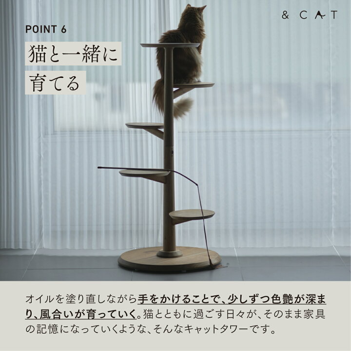 楽天市場】【SNSで話題の猫用品!!】猫 キャットタワー 木製 猫用品 