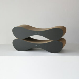 _N[|zz!!^yL̓!! ܂Ƃ{xbhzL ܂Ƃ JXoɂ Y  { ܌ ^LΉ  _{[ i{[ Lpxbh 났X