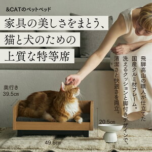 _N[|zz!!^yCނ̃ÑybgxbhzL xbh ؐ lR ˂  ^ cat ؐt[ 100%Jo[ 􂦂 NbV {  芴 u^ Ƌ