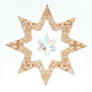 NX^I[iguSTAR/snowvyXtXL[NX^z