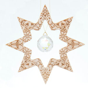 NX^I[iguSTAR/dropvyXtXL[NX^z