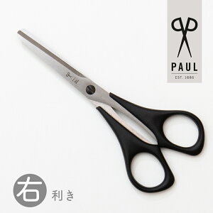 Ntg͂݁iEpjyPAUL/pEz