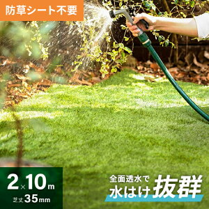 yƎҌ ʉizlH Sʓ ϋv x hV[g ̌^ ɍ ŏ 35mm 2×10m [ A h Ő Gh~ lHŐ lHŃ}bg Ő}bg [^Cv Ő[