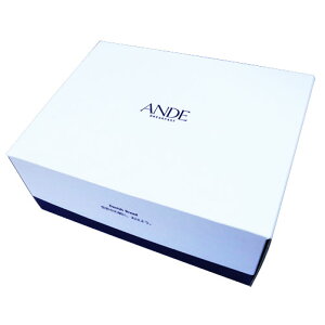 ANDEfjbVp Mtg{bNX (1҃TCY2{p)
