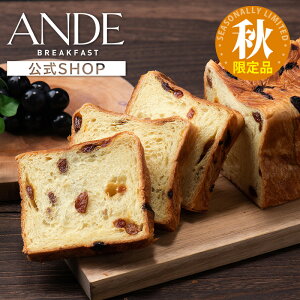 fjbVHp [YJX^[hfjbV 1 i  ۑj