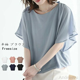 【本日P5倍＆100円OFFクーポン】【送料無料】春夏 フリル袖 半袖 シフォン ブラウス シャツ結婚式 パーティー 二次会 トップス フォーマル チュニック 無地レース フリル袖カ