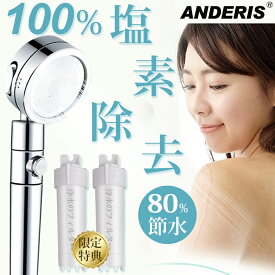 ★100%浄水カートリッジ2本付き★限定価格7,900円→2,780円★ シャワーヘッド 塩素除去 節水 浄水シャワーヘッド 水圧 強い 浄水シャワー 低水圧 増圧 高水圧 節水シャワーヘッド 節水シャワー 手元止水 水流調整 水圧アップ マイクロナノバブル 浄水