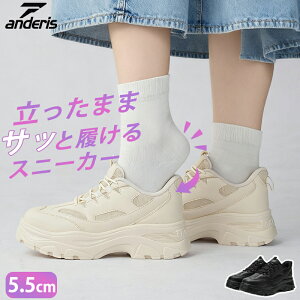 5.5cmbLINEǉ4,000~ANDERIS Xj[J[ fB[X y h ꂢ _bhXj[J[ lC ؍ V[Y   C Ȃ ₷ IV r EH[L