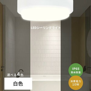 yňlz LEDV[OCg F4000k 4 6 h h 10W  ^ LED oX[ IP65 hCg y^ C |[`Cg V[OCg  Ǌ|Cg hJ h LED 