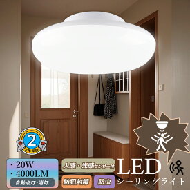 超薄型センサーライト LED 人感センサーライト 人感センサー ライト センサーライト 室内 屋内 玄関 廊下 人感 夜間ライト 120°範囲 ledセンサーライト 階段ライト 光感センサー付き 夜間人感 補助灯 小型 屋外 半屋外 軒下ライト コンパクト 防犯夜灯 玄関 台所 家庭照明