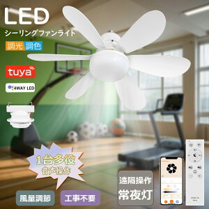 y΍zV[Ot@Cg F ʒ X}z V[OCg t@tLED V[OCg LED t@ V[Ot@ Cg T[L[^[ É @t