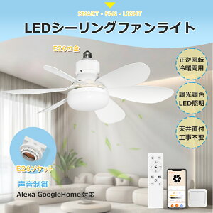 yEAlexaEGoogle HomeΉzV[Ot@ E26 V[Ot@Cg ledCg V[OCg led 6 8 10 t@tƖ ȃGl 邢 Rt DC[^[ 