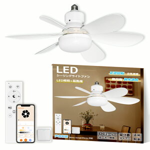 yEp5{IzV[Ot@Cg LED 6 8 10 F Rt AvΉ u t@tƖ LEDV[Ot@Cg T[L[^[t LEDV[O